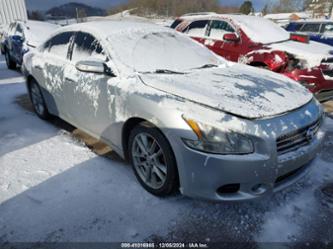 NISSAN MAXIMA 3.5 SV