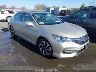 HONDA ACCORD EX-L