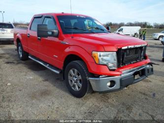 FORD F-150 XLT