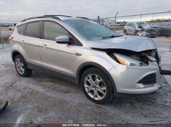 FORD ESCAPE SEL