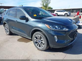 FORD ESCAPE SEL