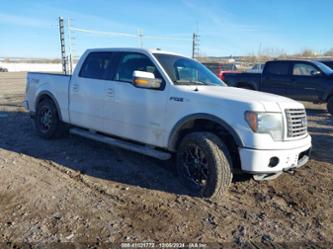 FORD F-150 FX4