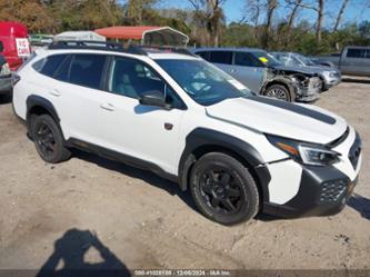 SUBARU OUTBACK WILDERNESS