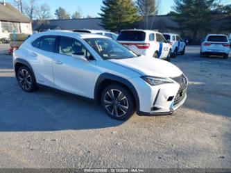 LEXUS UX 250H