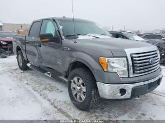 FORD F-150 XLT