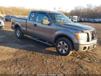 FORD F-150 XLT