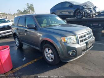 FORD ESCAPE XLS