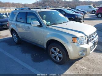 FORD ESCAPE LIMITED