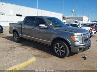 FORD F-150 PLATINUM