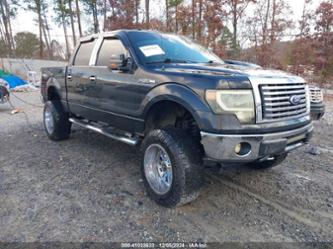 FORD F-150 FX4/HARLEY-DAVIDSON/KING RANCH/LARIAT/PLATINUM/XL/XLT