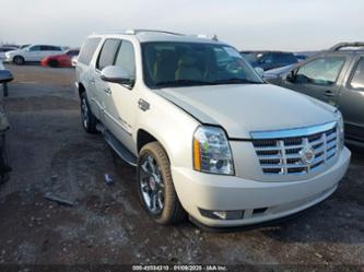 CADILLAC ESCALADE LUXURY