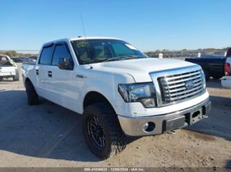 FORD F-150 XL/XLT