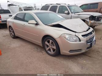 CHEVROLET MALIBU 1LT