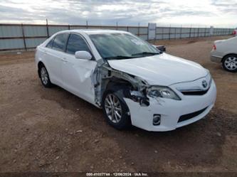 TOYOTA CAMRY HYBRID