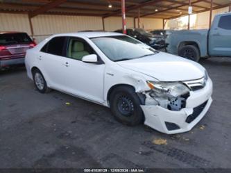 TOYOTA CAMRY HYBRID LE