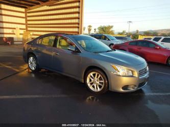 NISSAN MAXIMA 3.5 SV