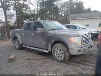 FORD F-150 XLT