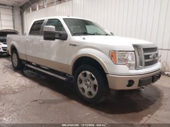 FORD F-150 FX4/HARLEY-DAVIDSON/KING RANCH/LARIAT/PLATINUM/XL/XLT