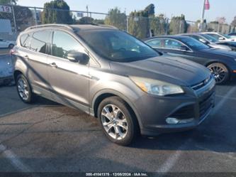 FORD ESCAPE SEL