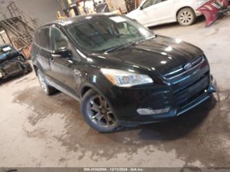 FORD ESCAPE SEL