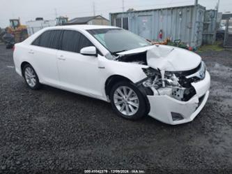 TOYOTA CAMRY HYBRID XLE