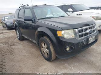 FORD ESCAPE XLT