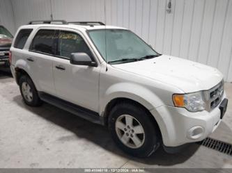 FORD ESCAPE XLT