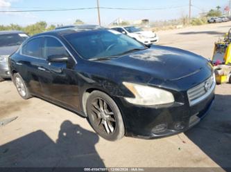 NISSAN MAXIMA 3.5 S/3.5 SV