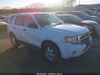 FORD ESCAPE XLS