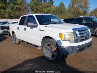 FORD F-150 XLT