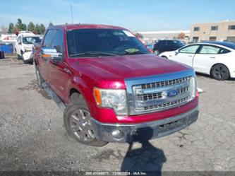 FORD F-150 XLT