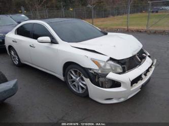 NISSAN MAXIMA 3.5 SV