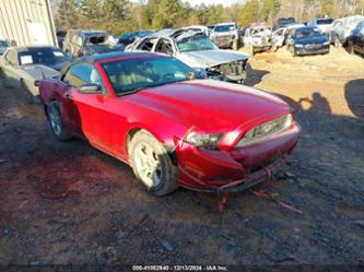 FORD MUSTANG V6