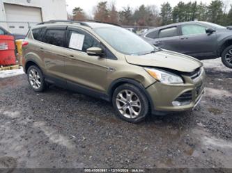 FORD ESCAPE SEL