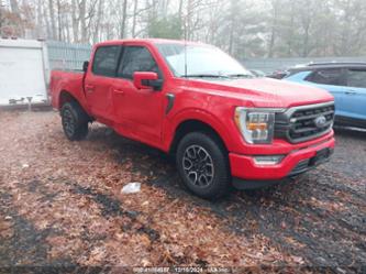 FORD F-150 XLT