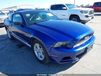 FORD MUSTANG V6