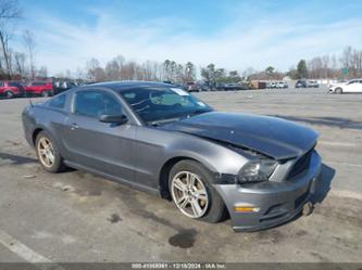 FORD MUSTANG V6