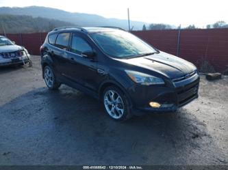 FORD ESCAPE TITANIUM