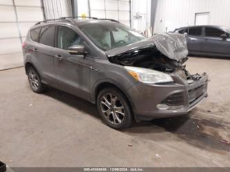 FORD ESCAPE SEL