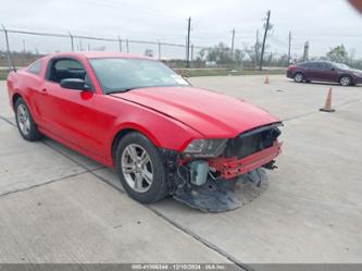 FORD MUSTANG V6