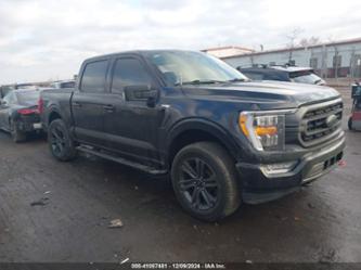 FORD F-150 XLT