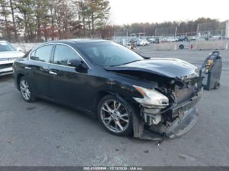 NISSAN MAXIMA 3.5 SV