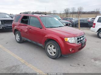 FORD ESCAPE XLT