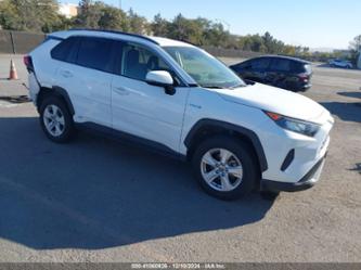 TOYOTA RAV4 HYBRID LE