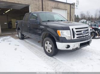 FORD F-150 XLT