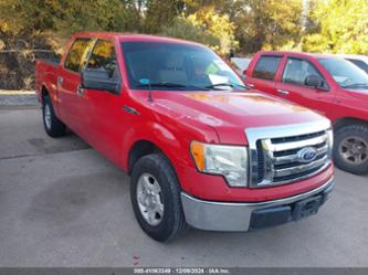 FORD F-150 FX2 SPORT/XL/XLT