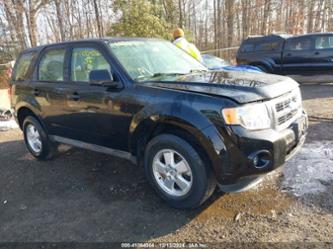 FORD ESCAPE XLS