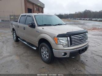 FORD F-150 XLT