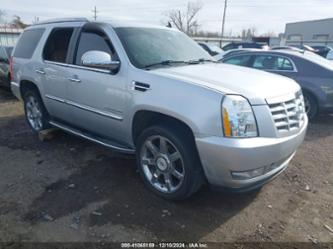 CADILLAC ESCALADE LUXURY