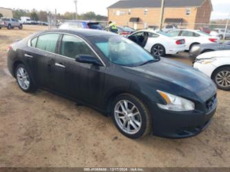 NISSAN MAXIMA 3.5 S